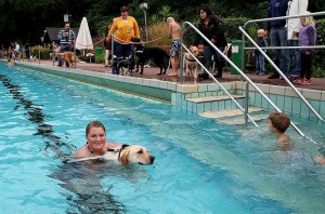 Hundeschwimmen_i_Freibad_11_klein